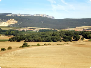 Entorno natural de Oco, Navarra
